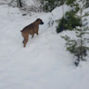 Meet your Posher, Kerry